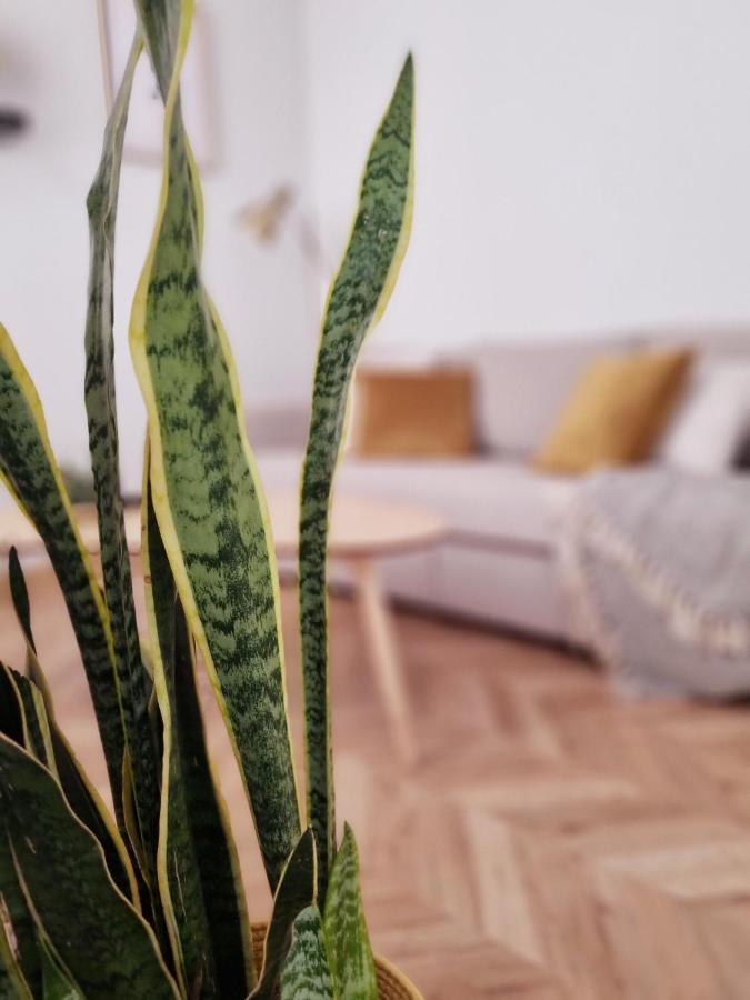 Cozy Apartment In The City Center Гранада Екстер'єр фото